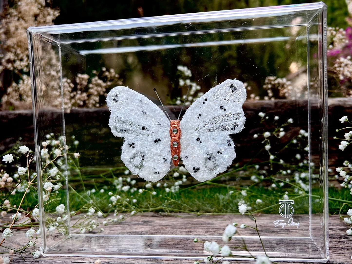 METAMORPHOSIS | #27