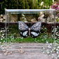 METAMORPHOSIS | #53