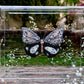 METAMORPHOSIS | #53