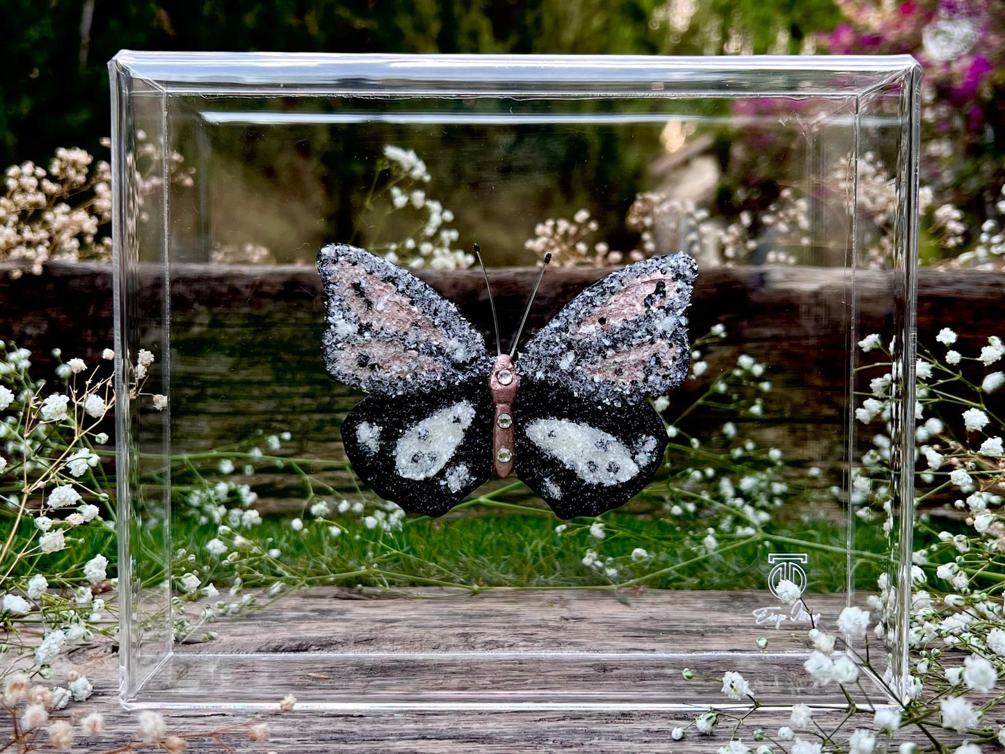 METAMORPHOSIS | #53