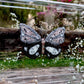 METAMORPHOSIS | #53