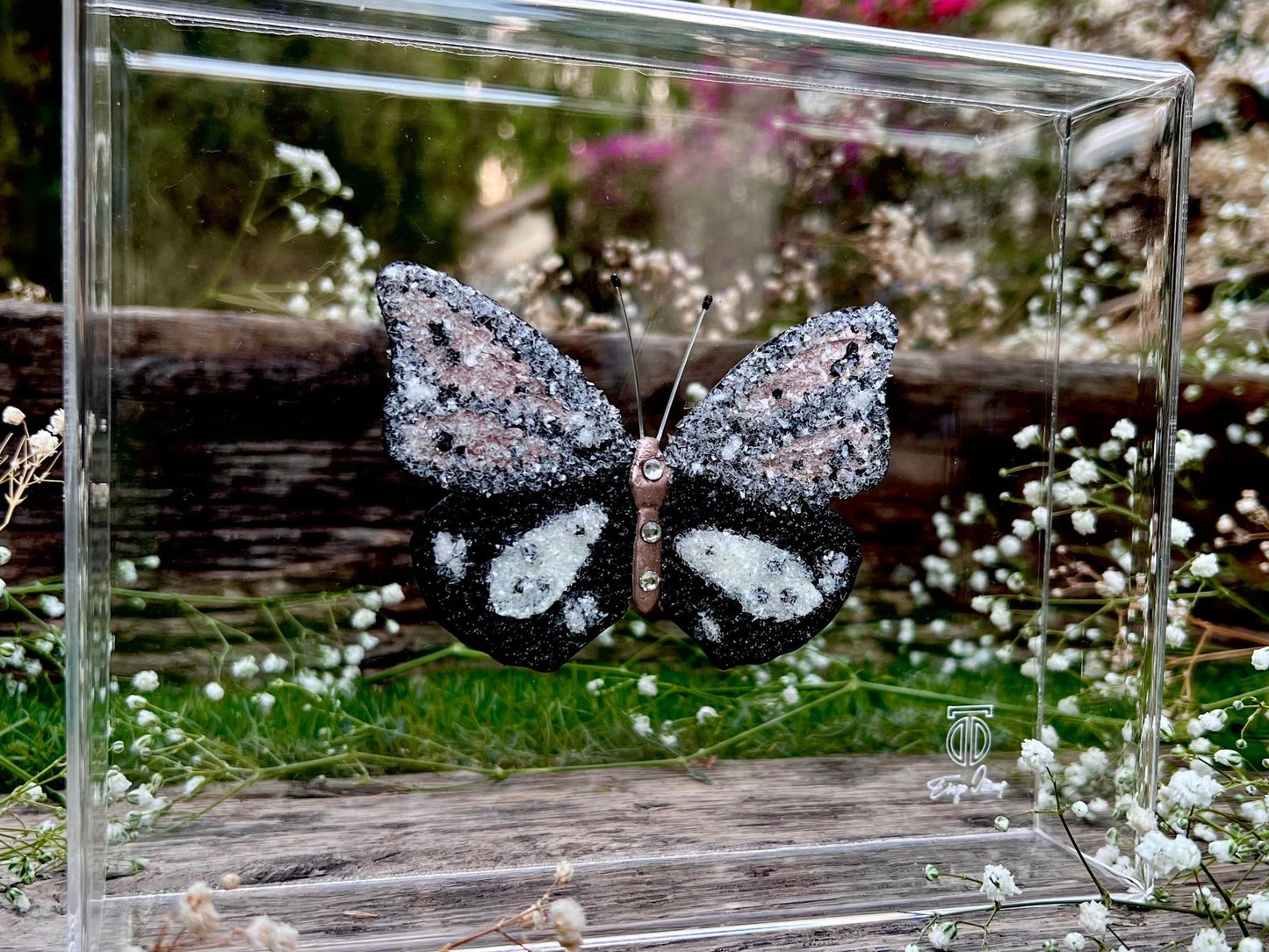 METAMORPHOSIS | #53