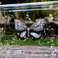 METAMORPHOSIS | #53