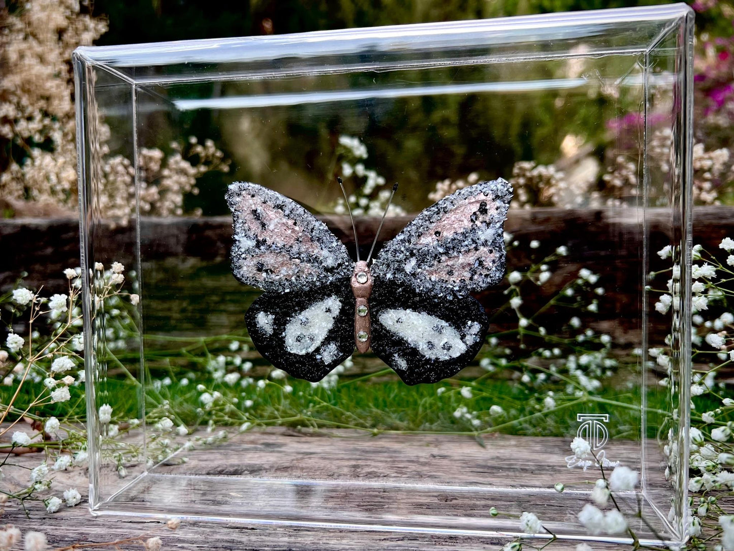 METAMORPHOSIS | #53