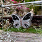 METAMORPHOSIS | #61