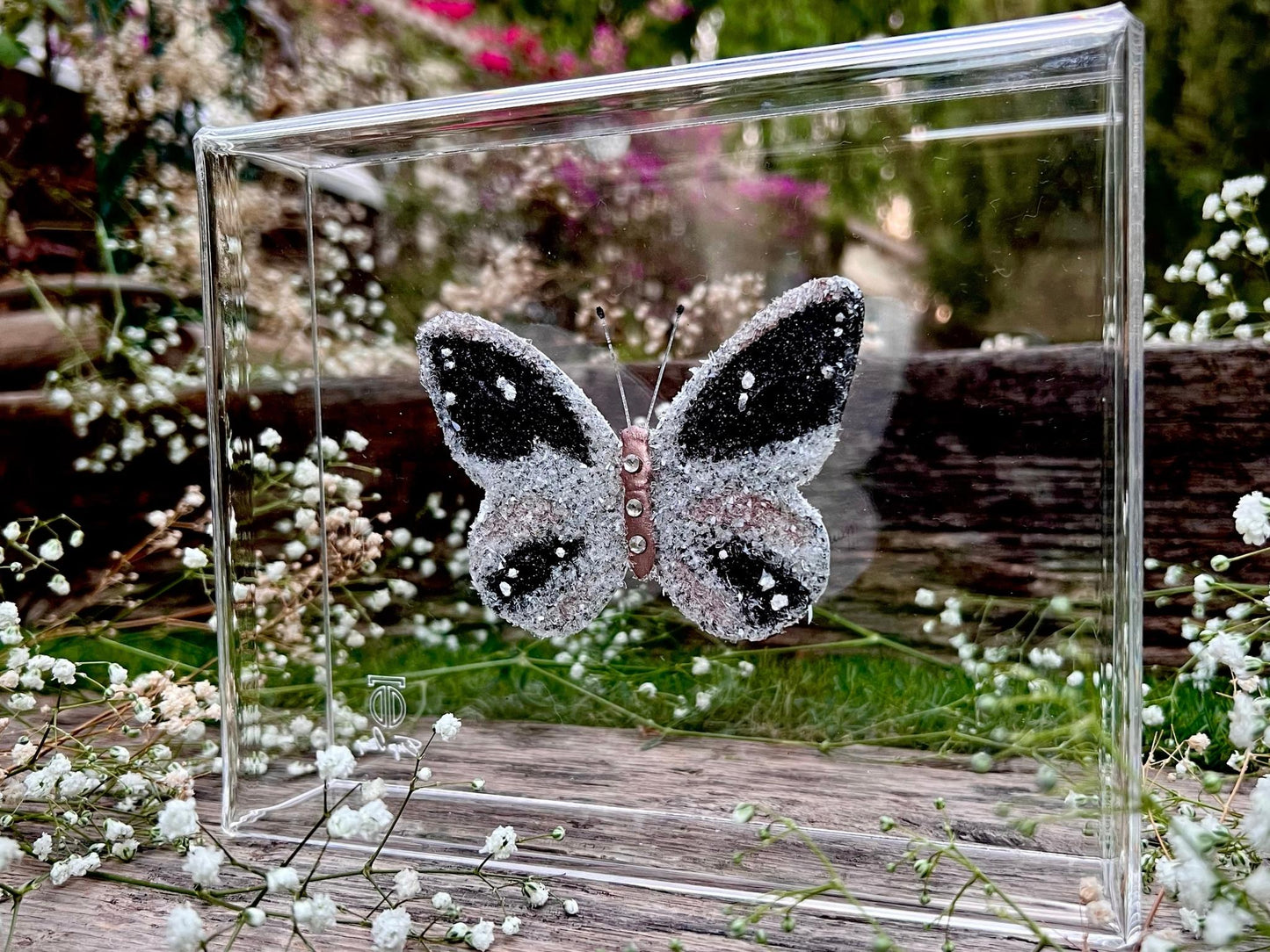 METAMORPHOSIS | #61