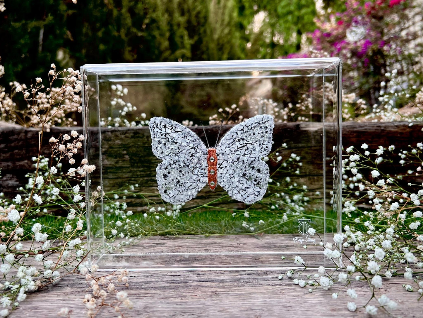 METAMORPHOSIS | #19