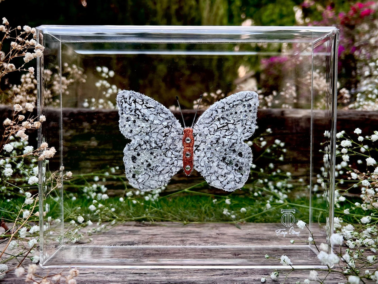 METAMORPHOSIS | #19