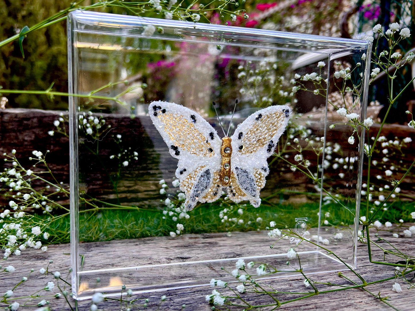 METAMORPHOSIS | #3