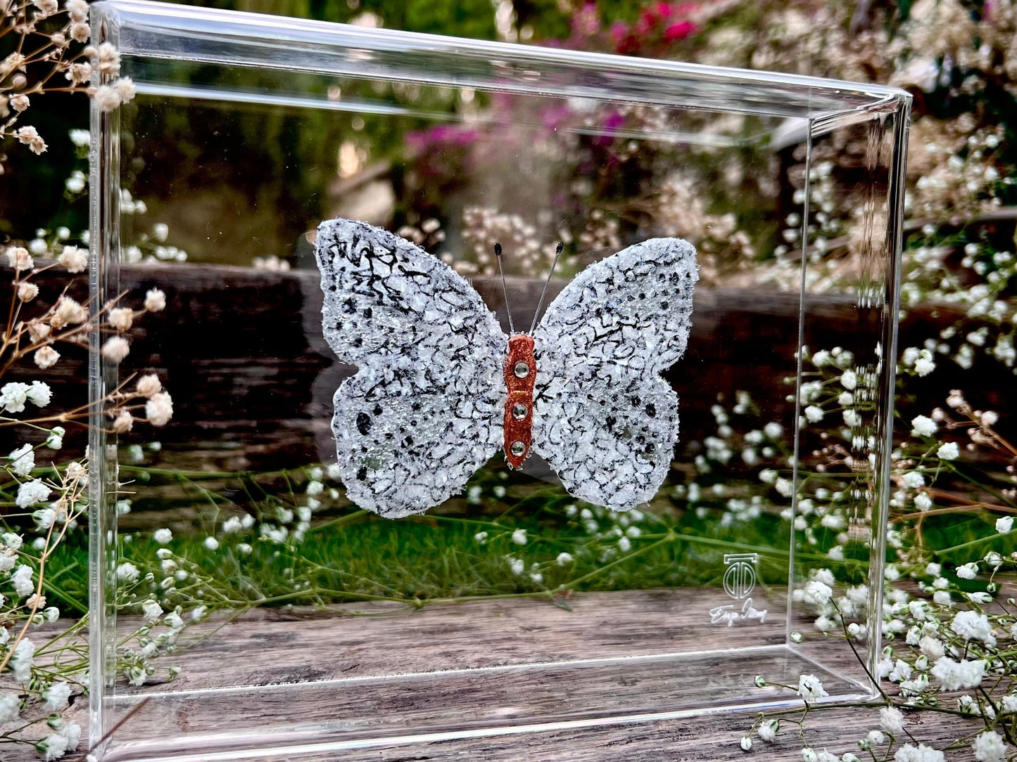 METAMORPHOSIS | #19