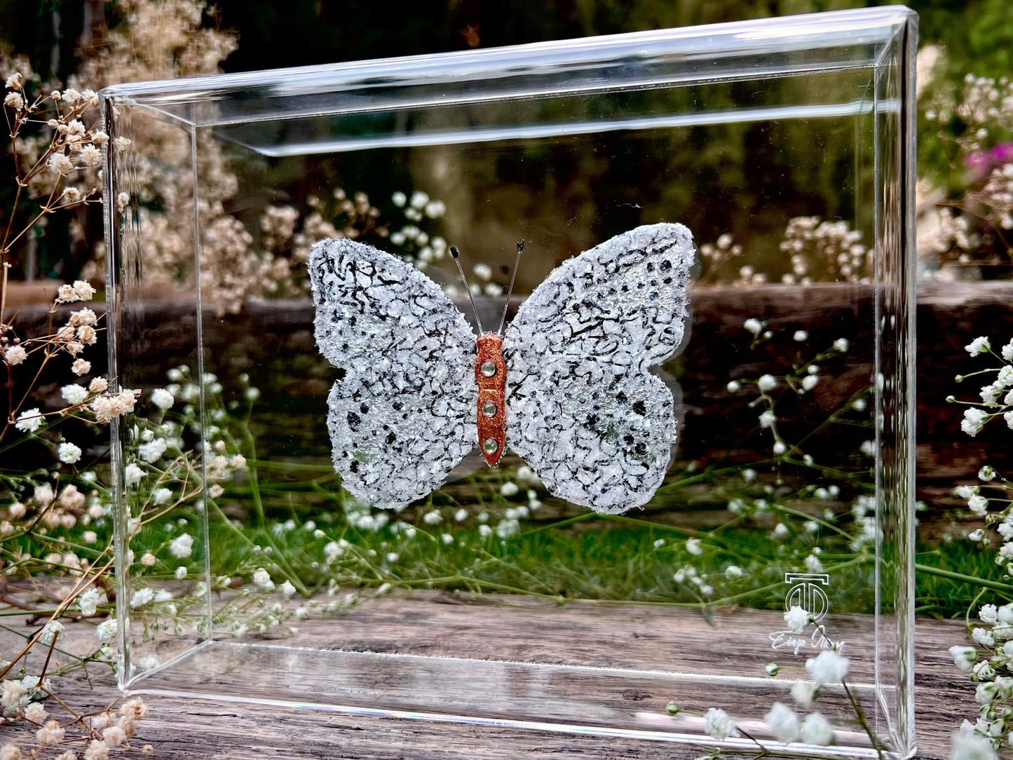 METAMORPHOSIS | #19