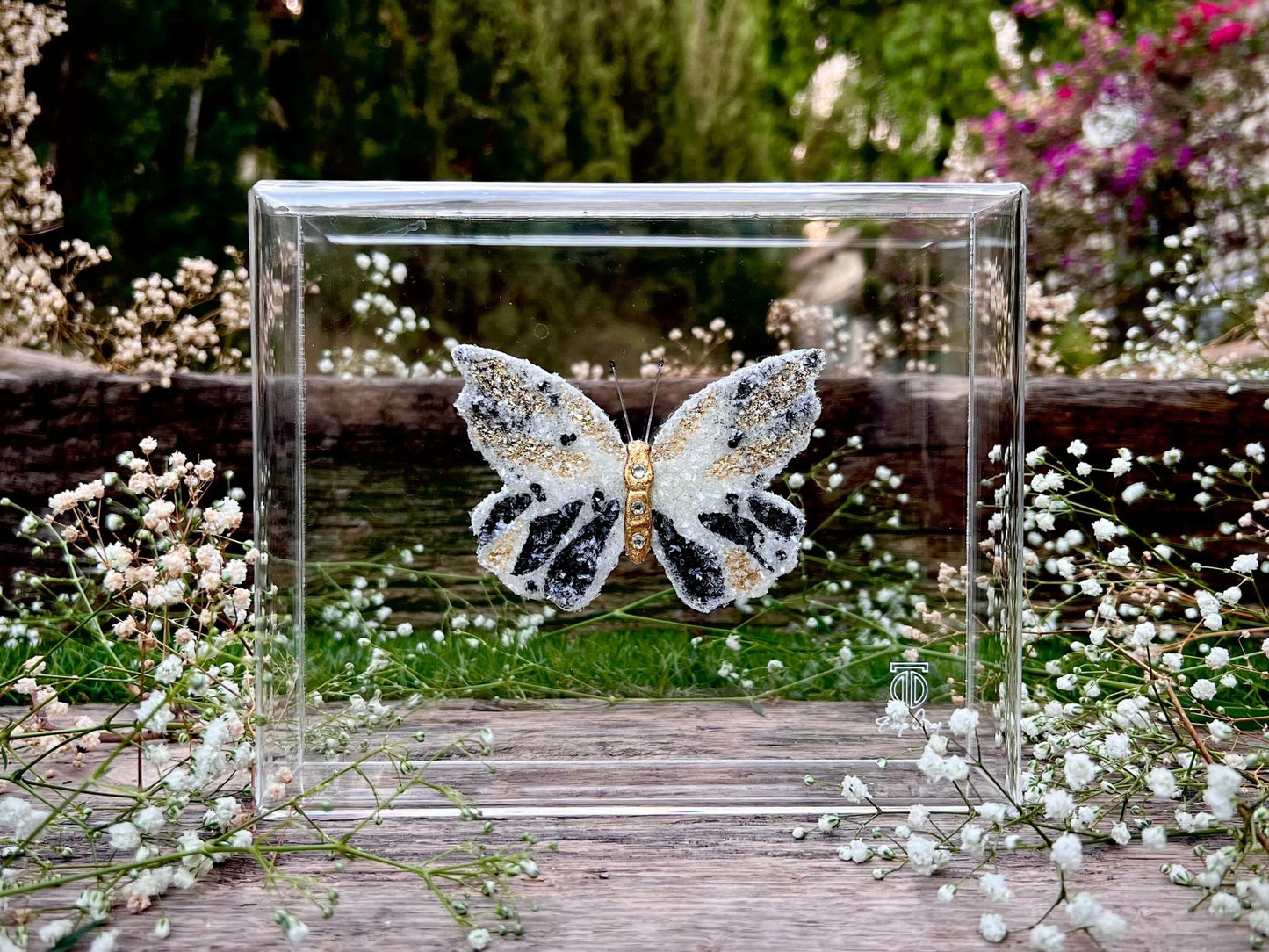 METAMORPHOSIS | #6