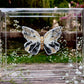 METAMORPHOSIS | #6