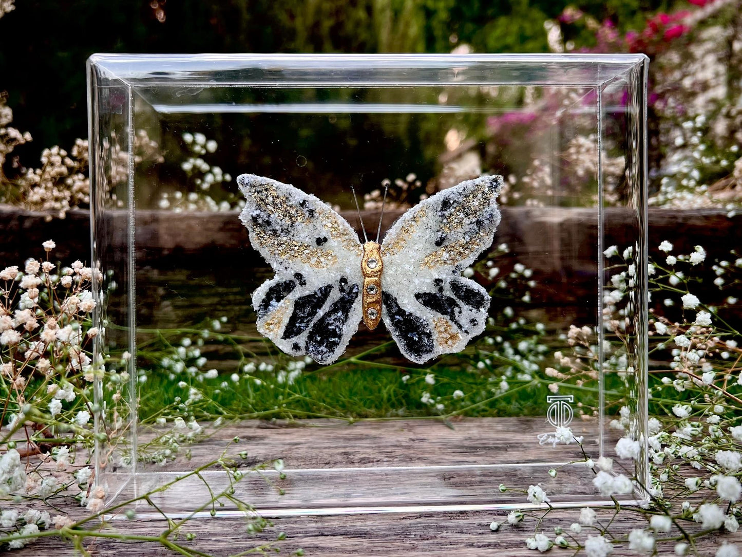 METAMORPHOSIS | #6