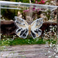 METAMORPHOSIS | #6