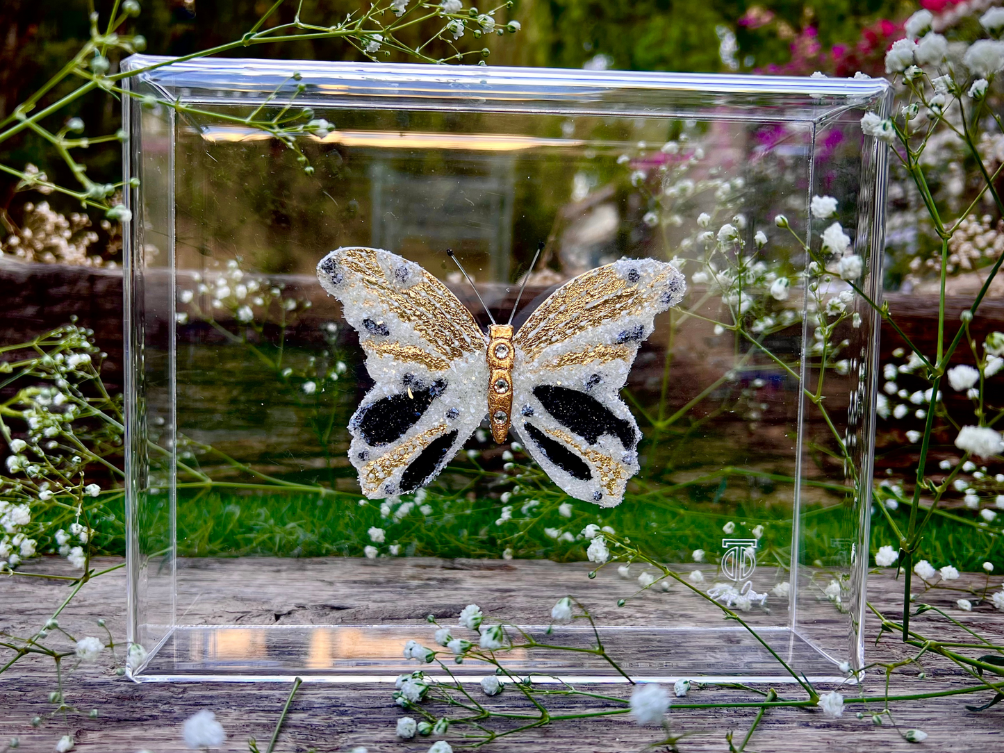 METAMORPHOSIS | #1