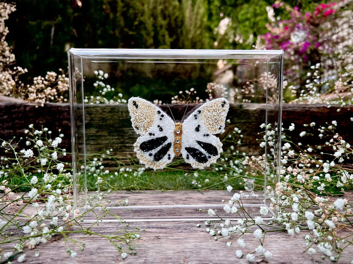 METAMORPHOSIS | #2