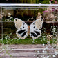 METAMORPHOSIS | #2