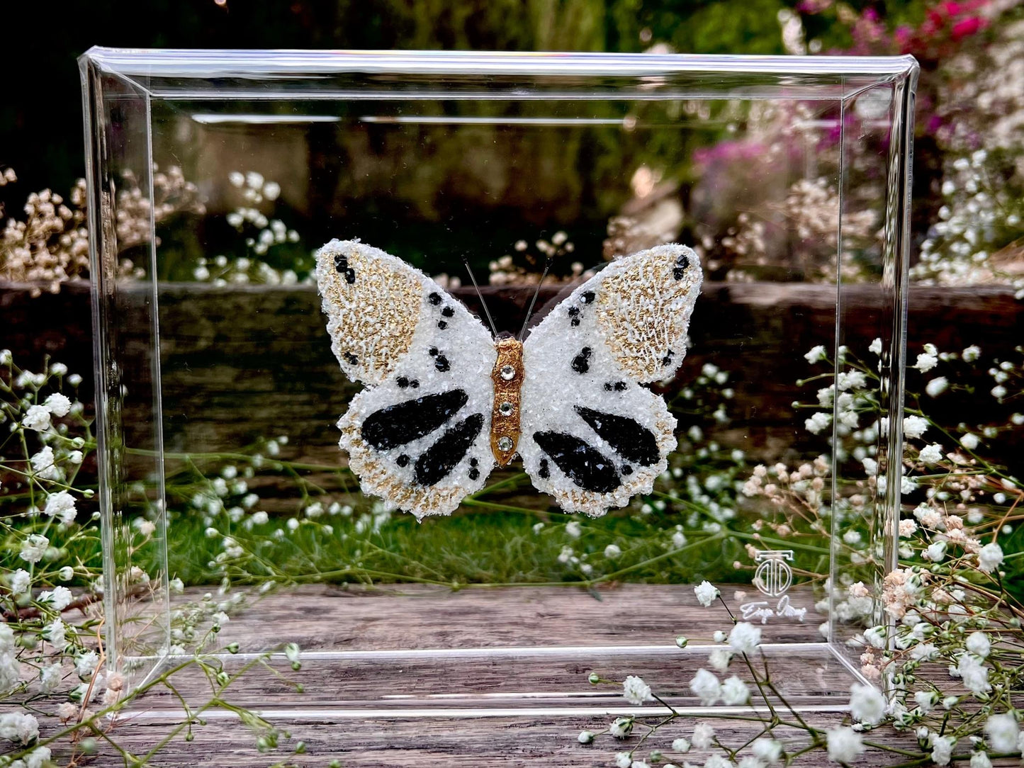 METAMORPHOSIS | #2