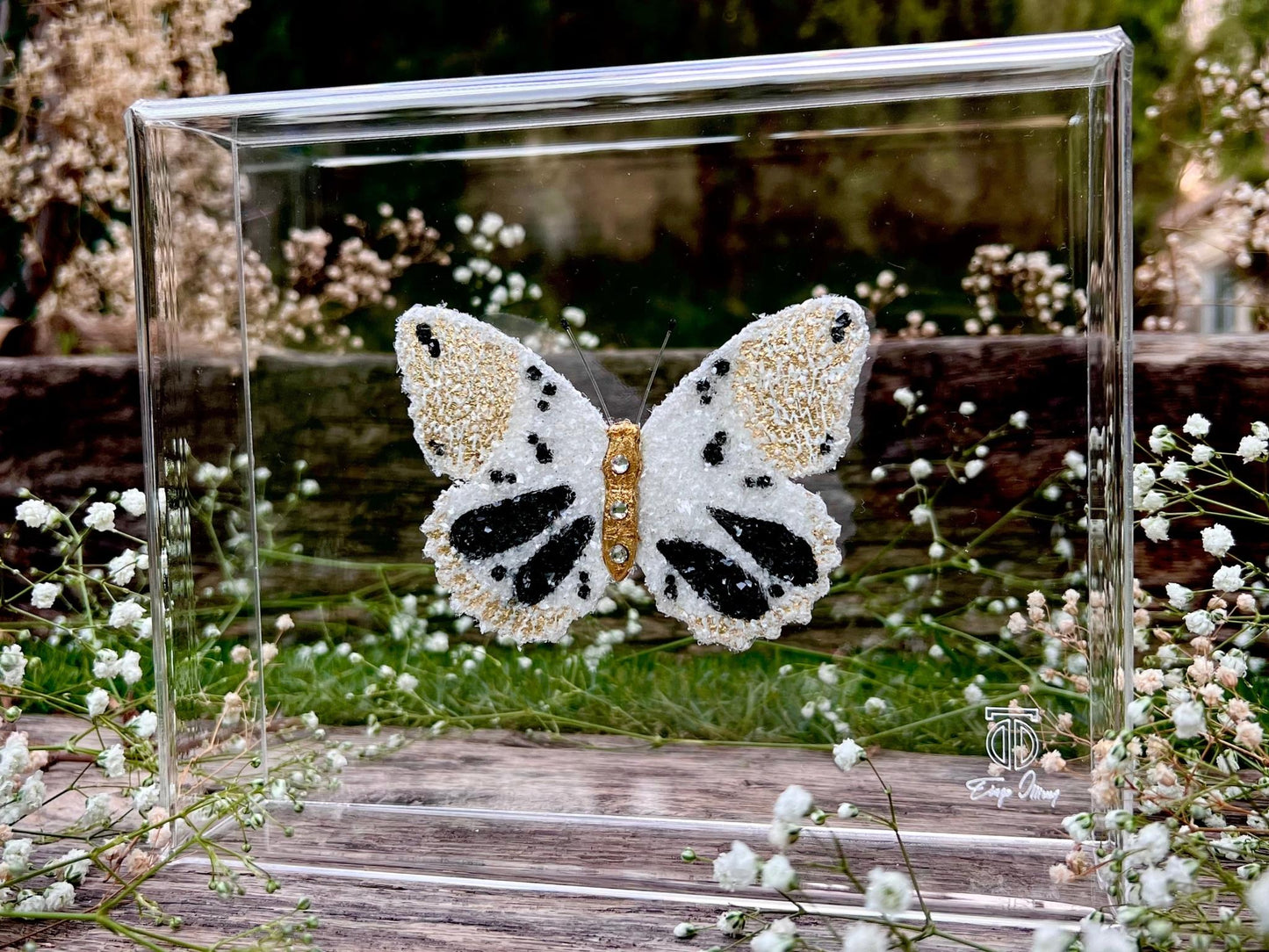 METAMORPHOSIS | #2