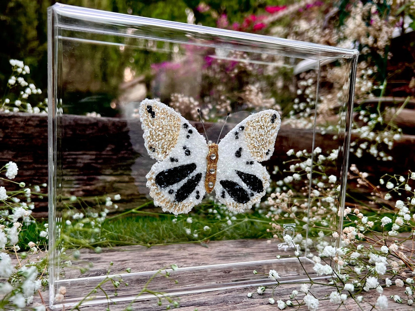 METAMORPHOSIS | #2