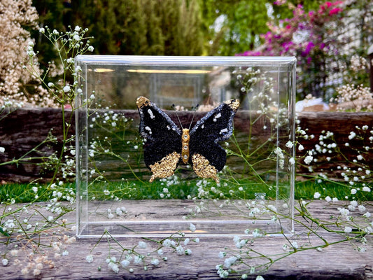 METAMORPHOSIS | #11