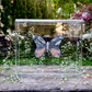 METAMORPHOSIS | #41
