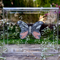 METAMORPHOSIS | #41