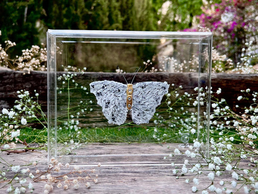 METAMORPHOSIS | #29