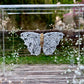 METAMORPHOSIS | #29