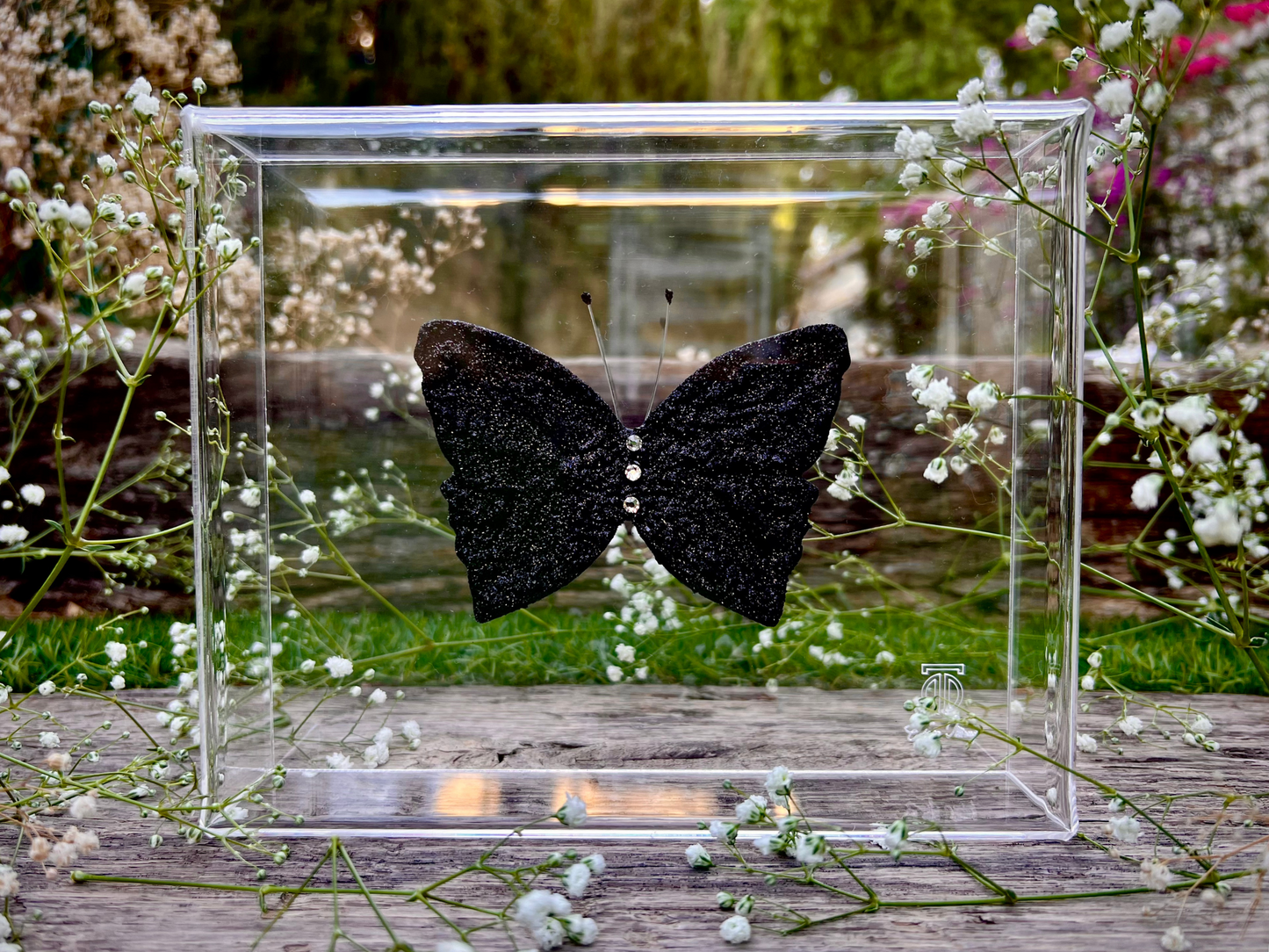 METAMORPHOSIS | #16