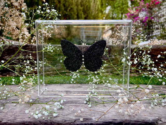 METAMORPHOSIS | #14